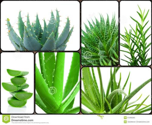 20190101175516031603.jpg 20190101175516031603.jpg